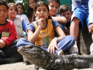 Semana de receso, vacaciones, planes, Medellín, turismo, economía, Q’Hubo Medellín