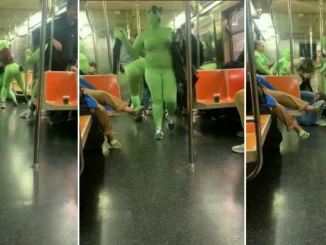 Las 'Duendes Verdes' llegaron a la estación y sin mediar palabra atacaron a sus víctimas, ante la mirada de los otros usuarios