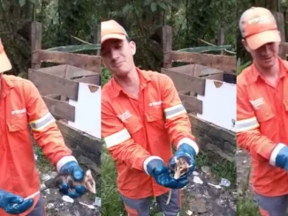 Zarigüeya, video, viral, Emvarias, medio ambiente, Q’Hubo Medellín