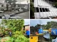 103 casas afectadas y 2 heridos dejó huracán Julia en San Andrés