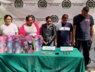 Cuatro de los sospechosos robarían en almacenes de cadena.
