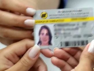 Licencia de conducción