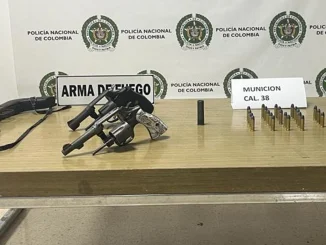 Estas son las armas halladas en el taxi.