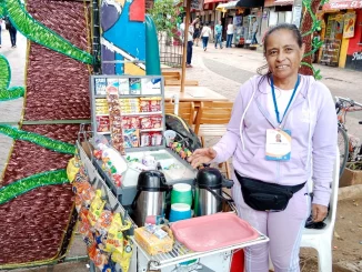 Vendedores informales de Bello