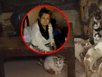 Mujer que tenía más de 70 años.