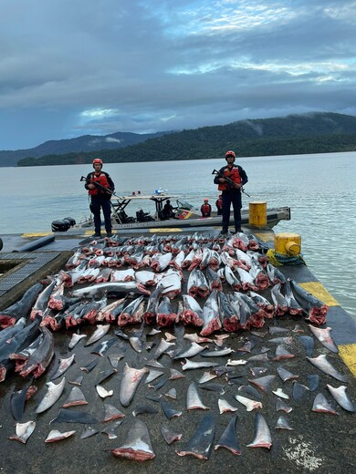 /FOTO: ARMADA NACIONAL.  