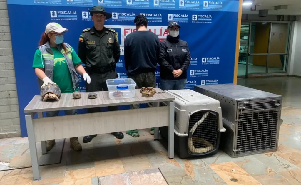Capturado-con-animales-exoticos