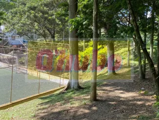 Lugar-de-la-muerte-de-Mateo-Guzman-Ospina-1