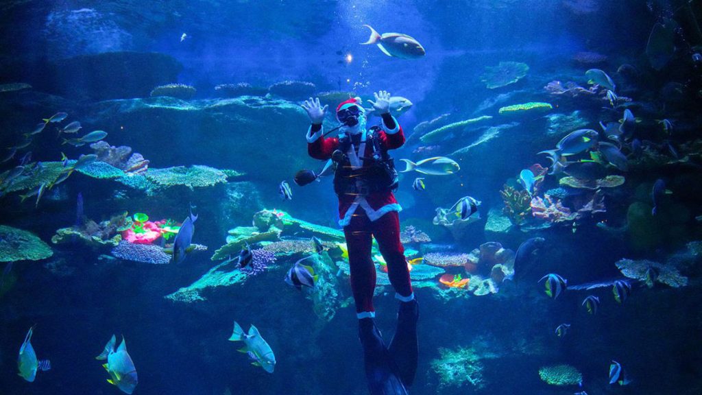 Así vivieron la Navidad en Australia. /FOTO: TOMADA DE RADIO ÑANDUTÍ. 