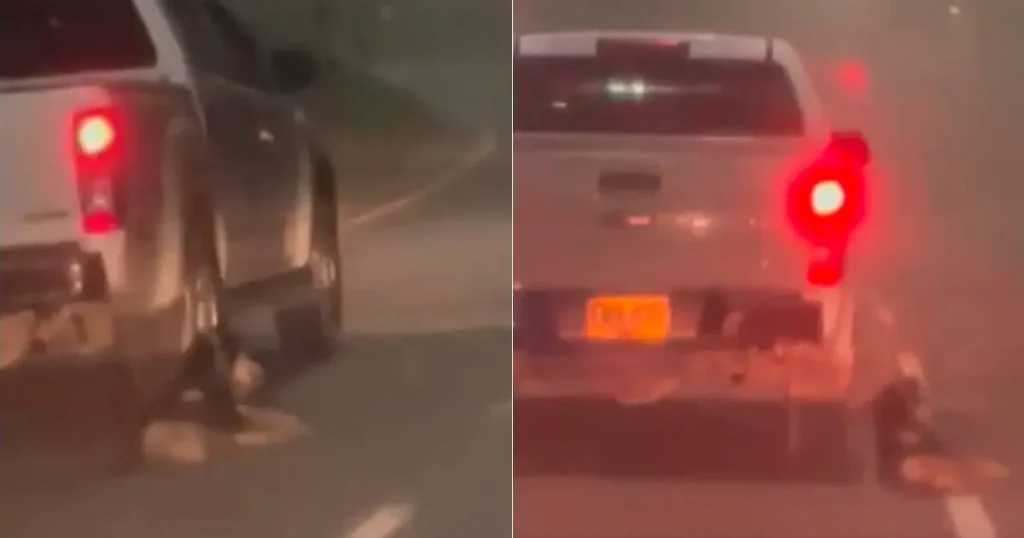 Perro-arrastrado-por-camioneta
