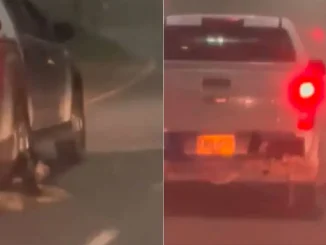 Perro-arrastrado-por-camioneta