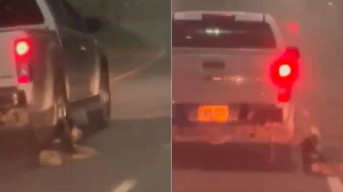 Perro-arrastrado-por-camioneta