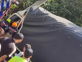 Accidente Tejelo