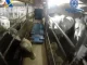 Barco interceptado en España