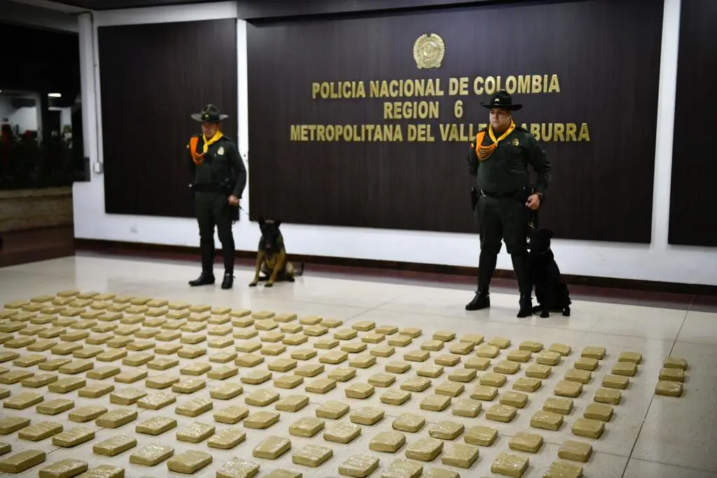 Marihuana-incautada-en-Sabaneta-2
