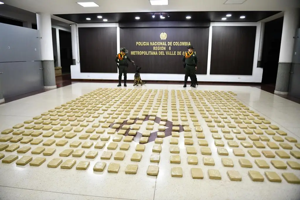 Marihuana-incautada-en-Sabaneta-3