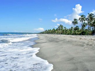 guajira-palomino-playa