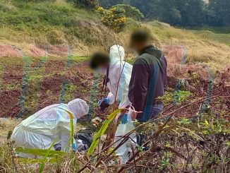 El hallazgo sucedió en zona rural de Envigado.