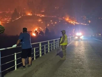 Los incendios forestales en varias regiones de Chile no han logrado ser controlados y el gobierno busca ayuda internacional.