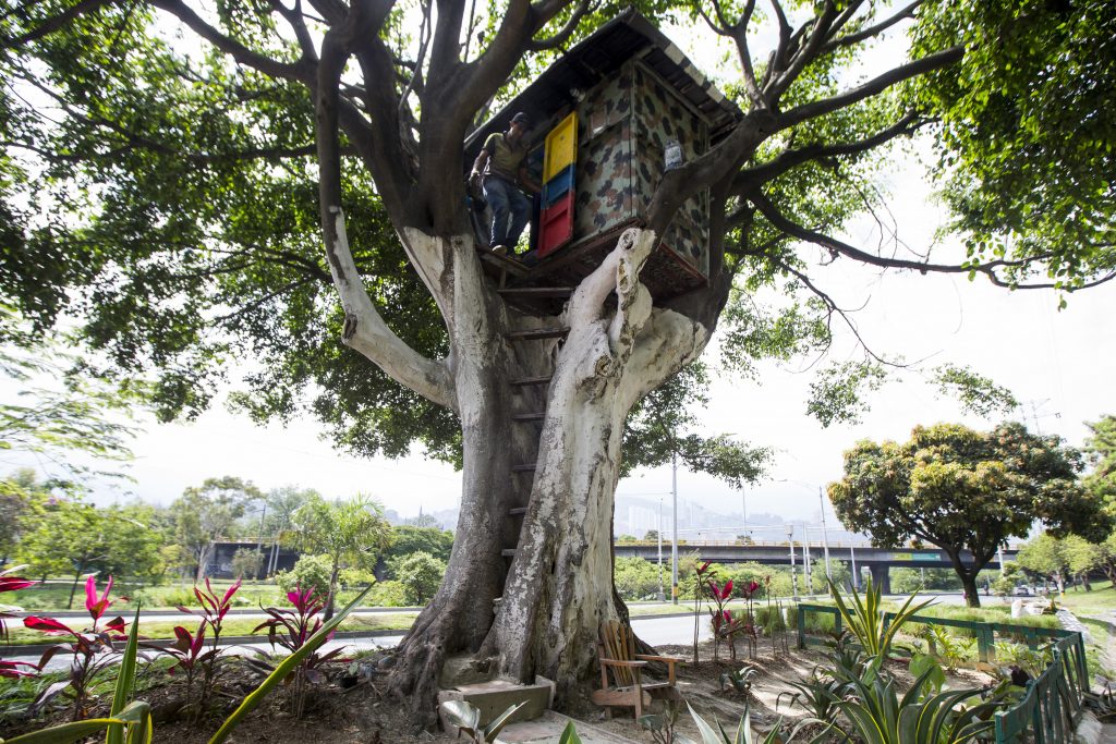 CARBOL CASA