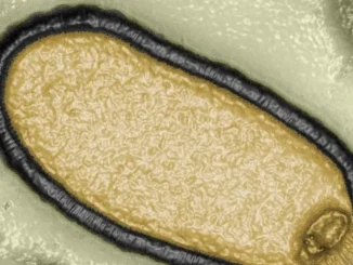 Virus, zombie, mundo, ciencia, científicos, historia, ártico, mundo curioso, internacional, Q’Hubo Medellín