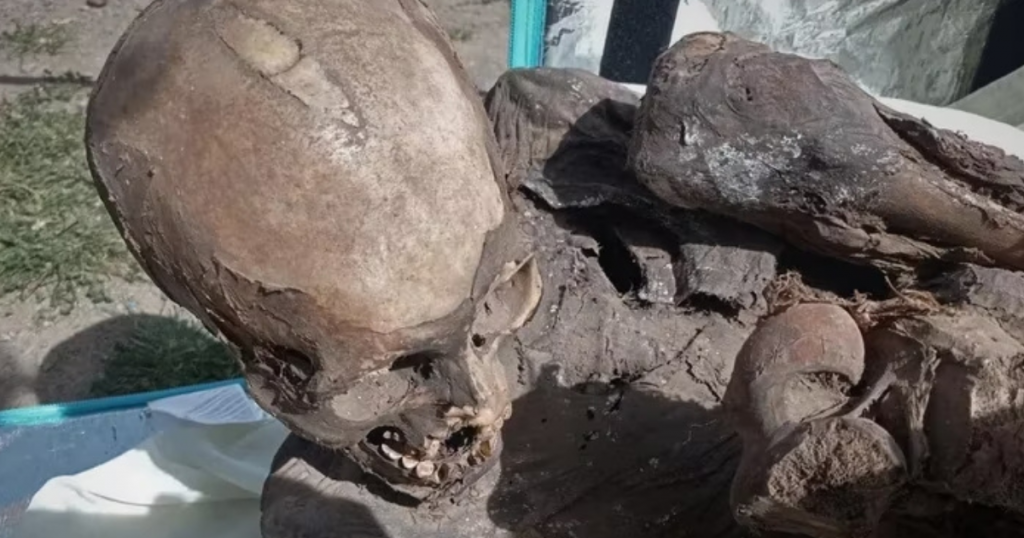 La momia estaba en posición fetal, algo muy común en los entierros de la época.