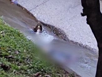 En la mañana de hoy el hombre fue encontrado en la quebrada La Picacha en Belén Miravalle. Estaba golpeado en la cara y la cabeza.