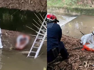 El cuerpo flotando en la quebrada La Ayurá de Envigado fue reportado por los vecinos.
