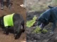 Jacob lleva varios días buscando desesperadamente a su familia, sepultada tras el deslizamiento de Alausí, Ecuador.