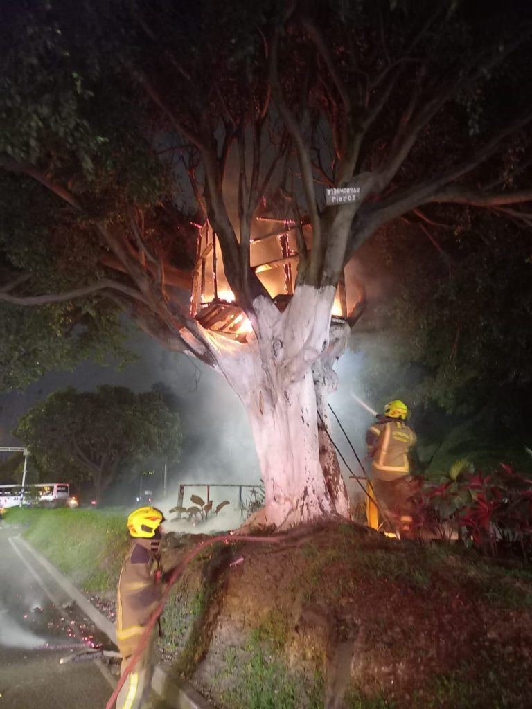 Incendio casa del árbol autopista sur