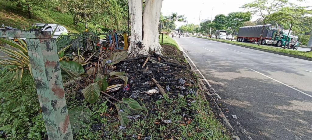 Casa del árbol incendiada en la autopista sur