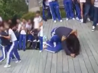 pelea colegio