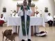 perros iglesia