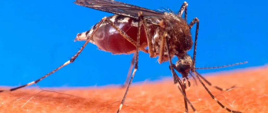 Alerta por dengue en Colombia