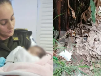 El bebé fue encontrado en la noche de ayer, pero se encuentra en buen estado de salud.
