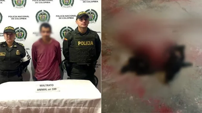 Capturado-en-Urrao-por-maltrato-animal
