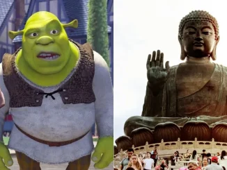 Confundio-a-Buda-con-Shrek