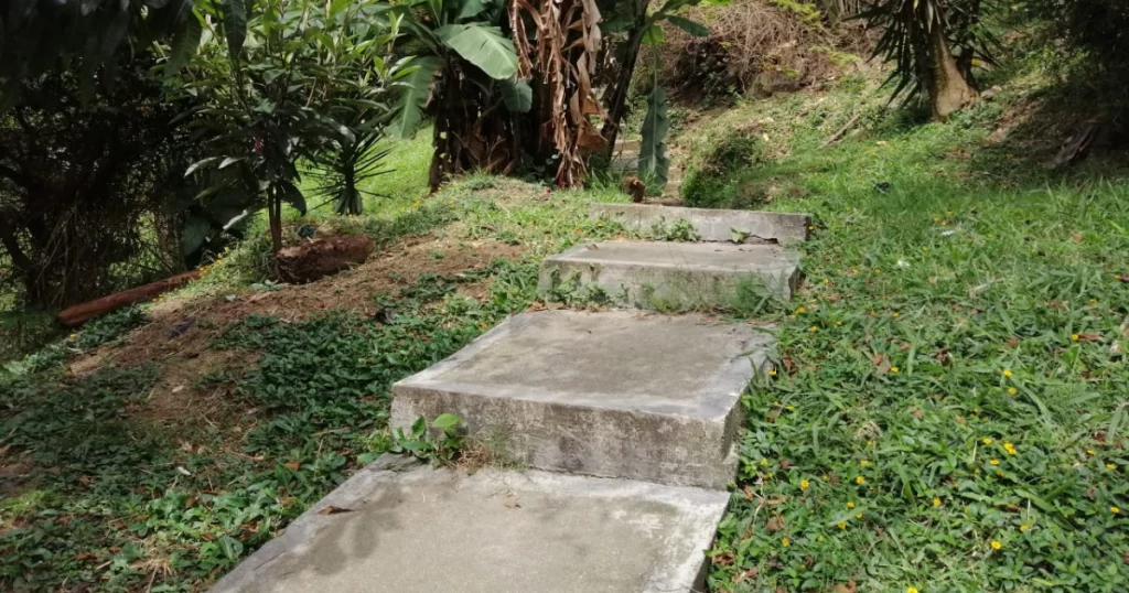 sector bebé abandonado