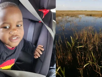 El pequeño fue encontrado en un lago de Florida, a varios kilómetros de su casa.