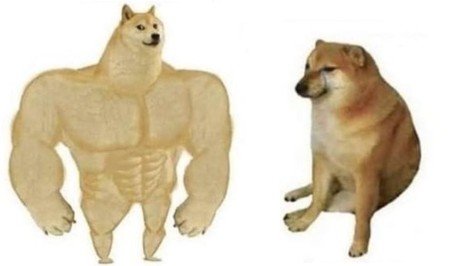 Así es cómo sale Doge en los memes que se han vuelto virales. /FOTO: TOMADA DE REDES SOCIALES.
