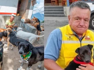 Jaime López tenía un refugio a donde llegaban animales de todas partes del departamento.