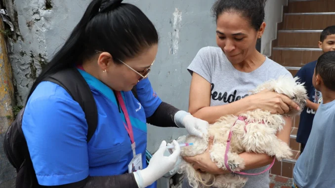 Jornada de vacunación contra la rabia en Medellín