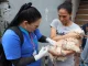 Jornada de vacunación contra la rabia en Medellín