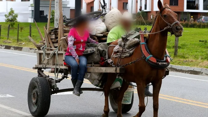 Judicializado-por-muerte-de-caballo-en-Chigorodo-1