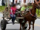 Judicializado-por-muerte-de-caballo-en-Chigorodo-1