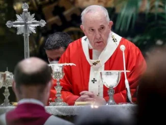 El papa Francisco celebró la misa de Domingo de Ramos en El Vaticano después de su hospitalización.