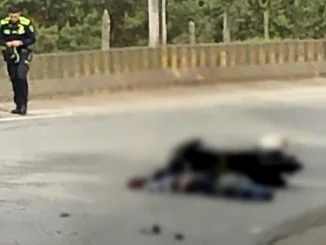 Víctimas en accidentes de tránsito