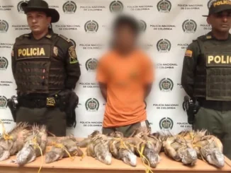 El hombre pretendía lucrarse de las iguanas en plena Semana Santa y las tenía amarradas dentro de un costal