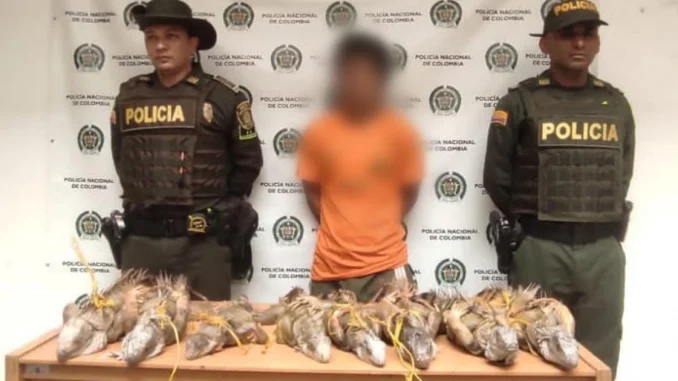 El hombre pretendía lucrarse de las iguanas en plena Semana Santa y las tenía amarradas dentro de un costal