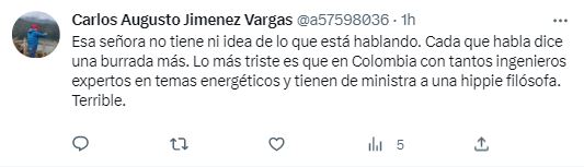 Comentarios de los usuarios sobre declaraciones de la ministra de Minas y Energías, Irene Vélez. /FOTOS: CAPTURAS DE PANTALLA.
